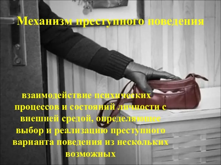 Механизм преступного поведения взаимодействие психических процессов и состояний личности с