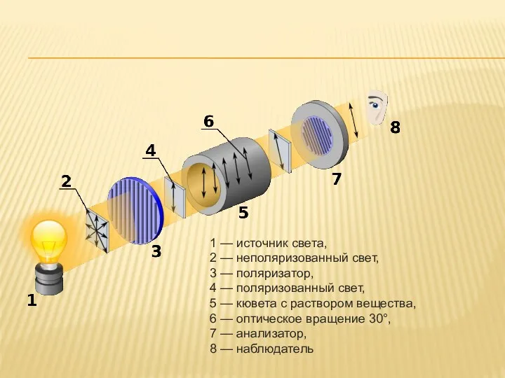 1 — источник света, 2 — неполяризованный свет, 3 —