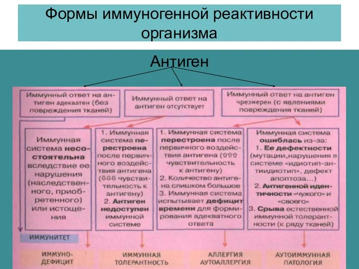 Формы иммуногенной реактивности организма Антиген