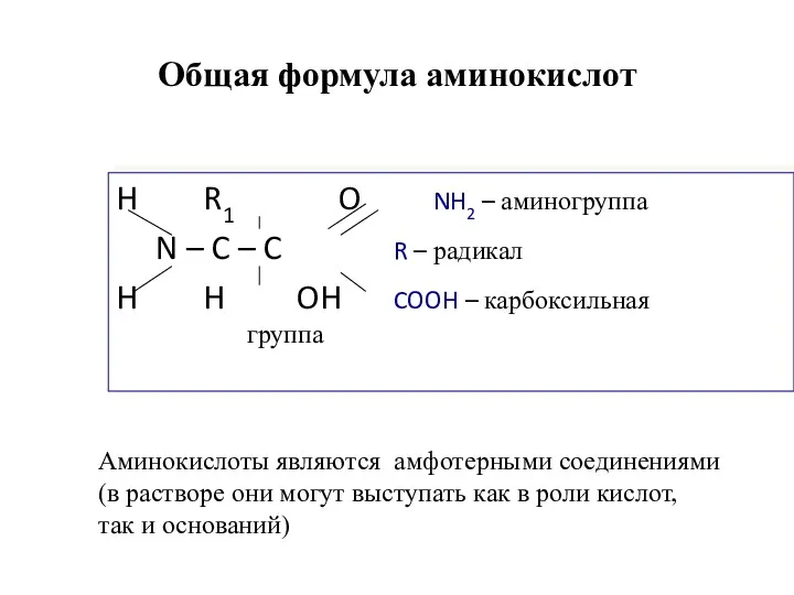 Общая формула аминокислот H R1 O NH2 – аминогруппа N