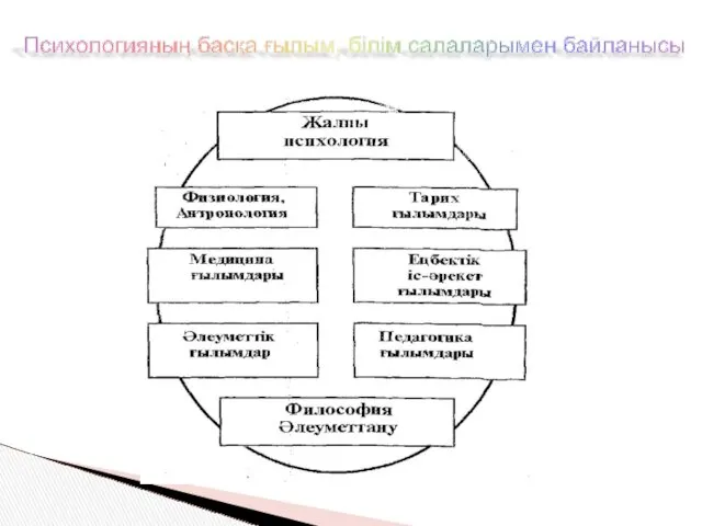 Психологияның басқа ғылым, білім салаларымен байланысы