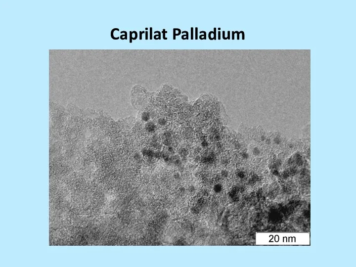Caprilat Palladium