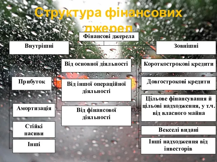 Структура фінансових джерел