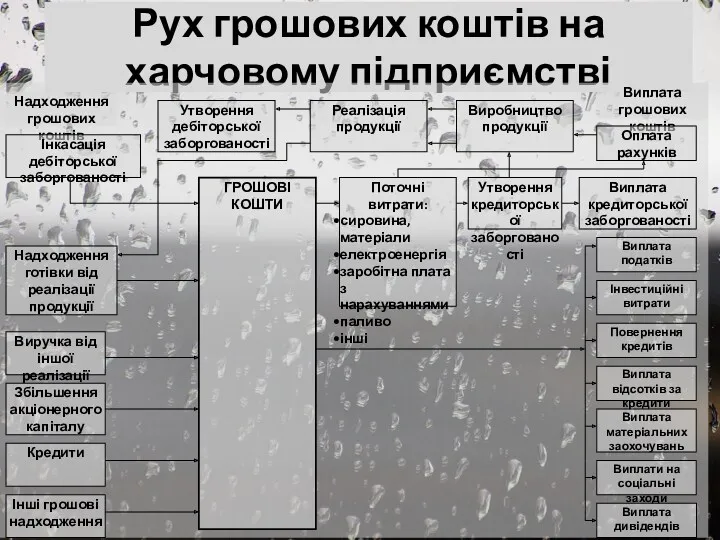 Рух грошових коштів на харчовому підприємстві