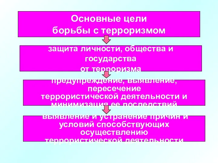 Основные цели борьбы с терроризмом защита личности, общества и государства