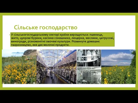 Сільське господарство У сільськогосподарському секторі країни вирощується: пшениця, жито, цукрові