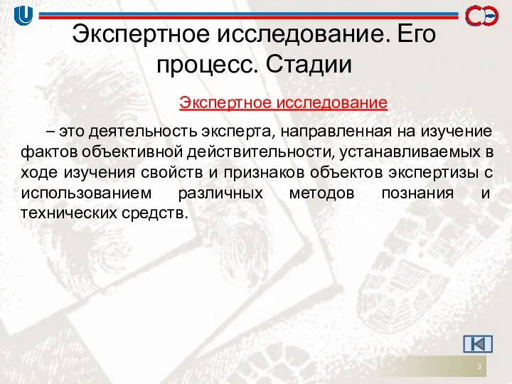 Экспертное исследование. Его процесс. Стадии Экспертное исследование – это деятельность