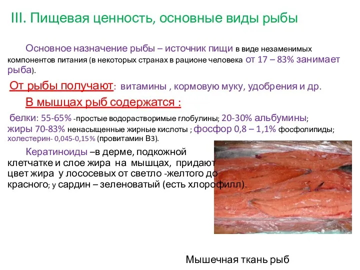 III. Пищевая ценность, основные виды рыбы Основное назначение рыбы – источник пищи в