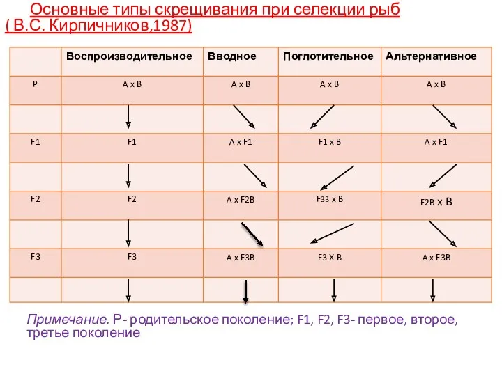 Основные типы скрещивания при селекции рыб ( В.С. Кирпичников,1987) Примечание. Р- родительское поколение;