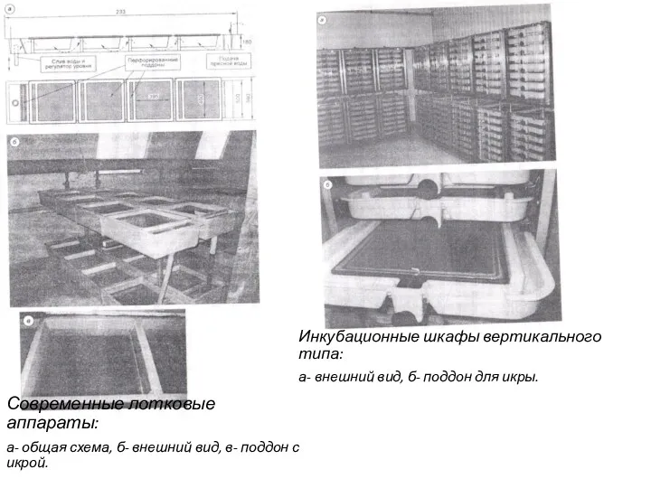 Современные лотковые аппараты: а- общая схема, б- внешний вид, в- поддон с икрой.