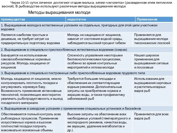 Через 10-15 суток личинки достигают стадии малька, затем «сеголетка» (разведенная этим летом или