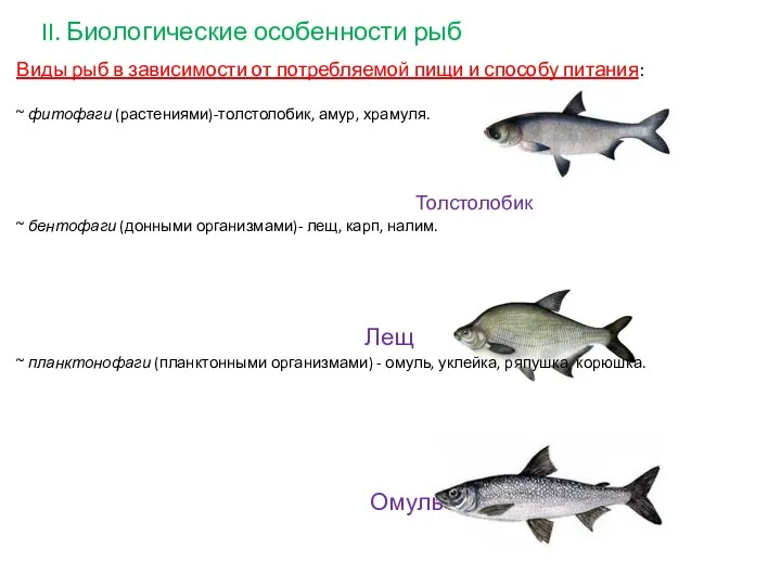 II. Биологические особенности рыб Виды рыб в зависимости от потребляемой пищи и способу