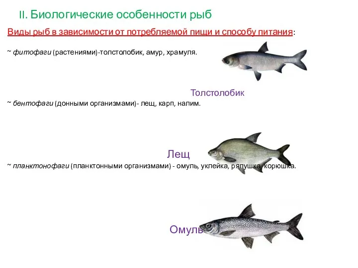 II. Биологические особенности рыб Виды рыб в зависимости от потребляемой
