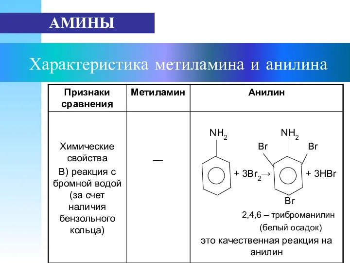 Характеристика метиламина и анилина АМИНЫ