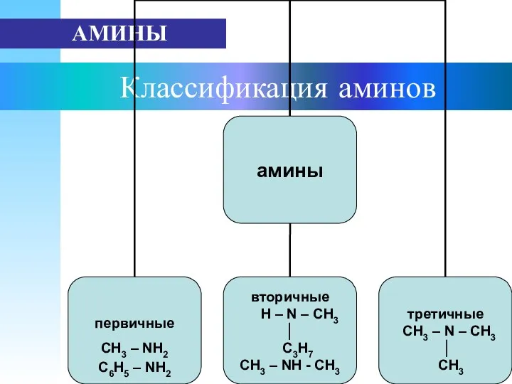 Классификация аминов АМИНЫ