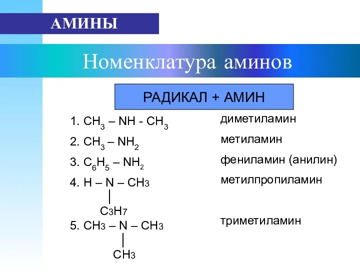 Номенклатура аминов АМИНЫ РАДИКАЛ + АМИН 1. СН3 – NН