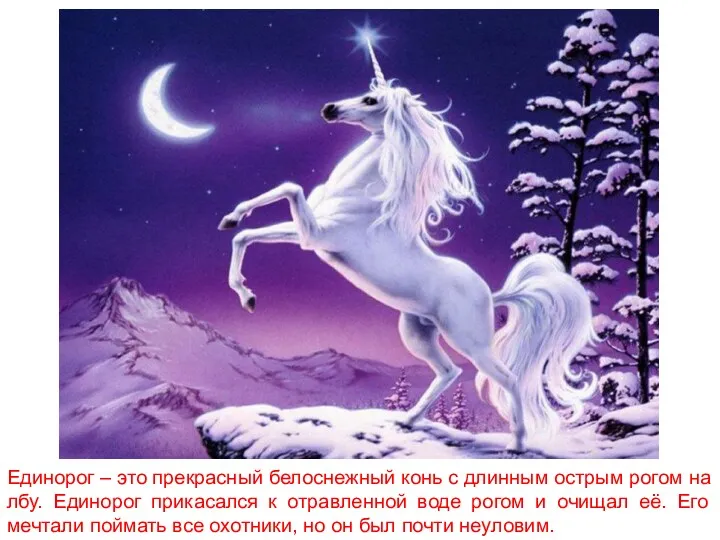 Единорог – это прекрасный белоснежный конь с длинным острым рогом