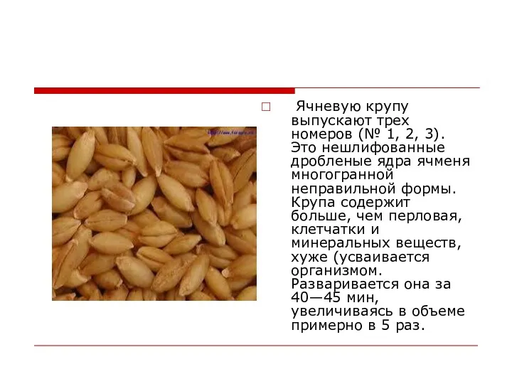 Ячневую крупу выпускают трех номеров (№ 1, 2, 3). Это нешлифованные дробленые ядра