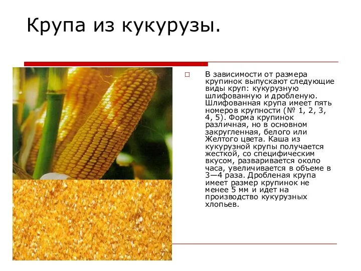 Крупа из кукурузы. В зависимости от размера крупинок выпускают следующие виды круп: кукурузную