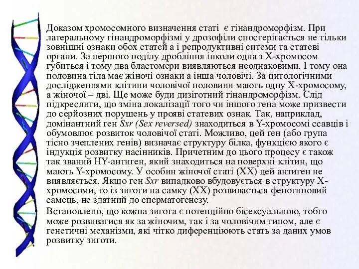 Доказом хромосомного визначення статі є гінандроморфізм. При латеральному гінандроморфізмі у