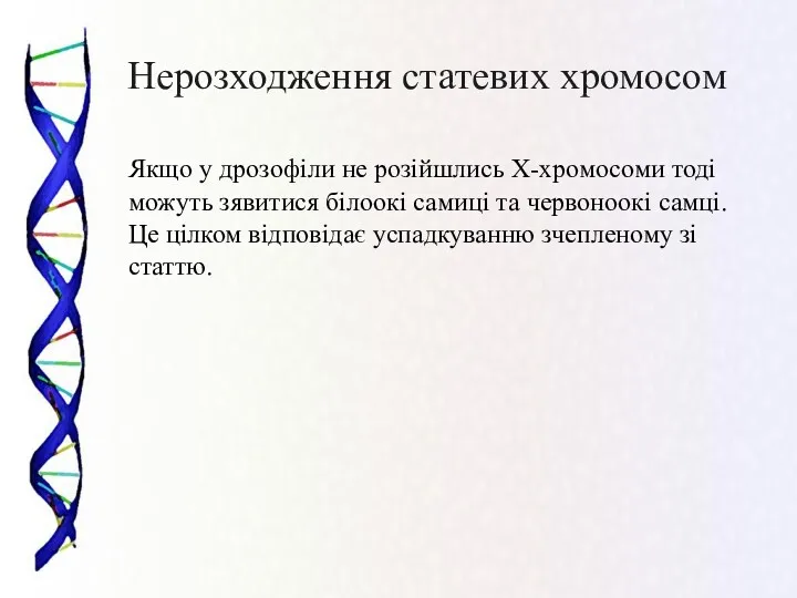 Нерозходження статевих хромосом Якщо у дрозофіли не розійшлись Х-хромосоми тоді