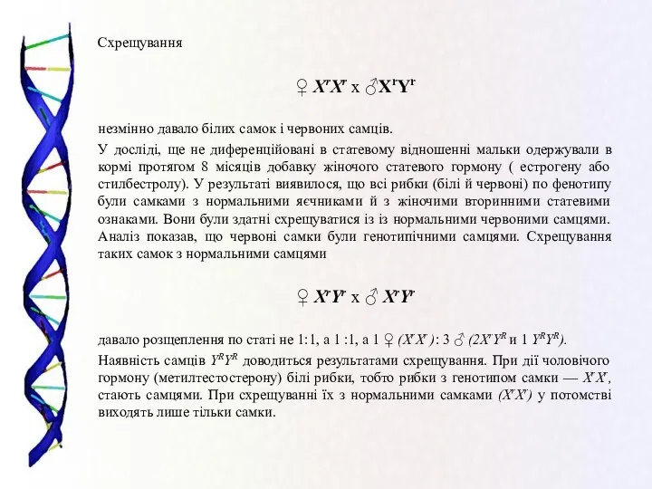 Схрещування ♀ XrXr x ♂XrYr незмінно давало білих самок і