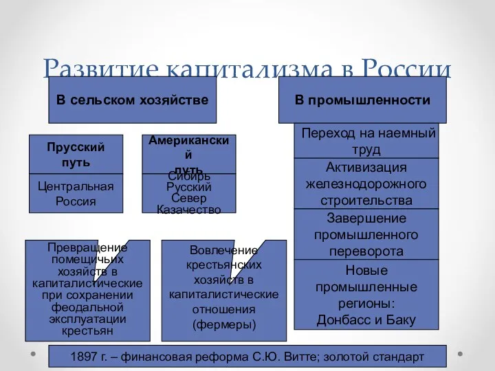 Развитие капитализма в России В сельском хозяйстве В промышленности Прусский