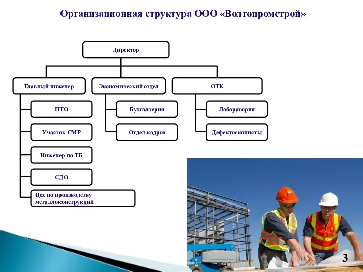 Организационная структура ООО «Волгопромстрой»