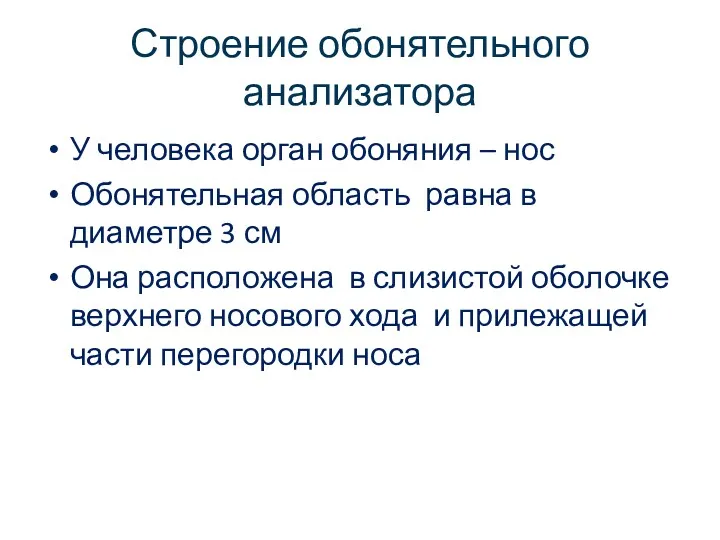 Строение обонятельного анализатора У человека орган обоняния – нос Обонятельная