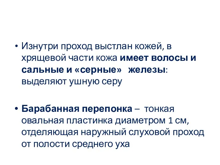 Изнутри проход выстлан кожей, в хрящевой части кожа имеет волосы