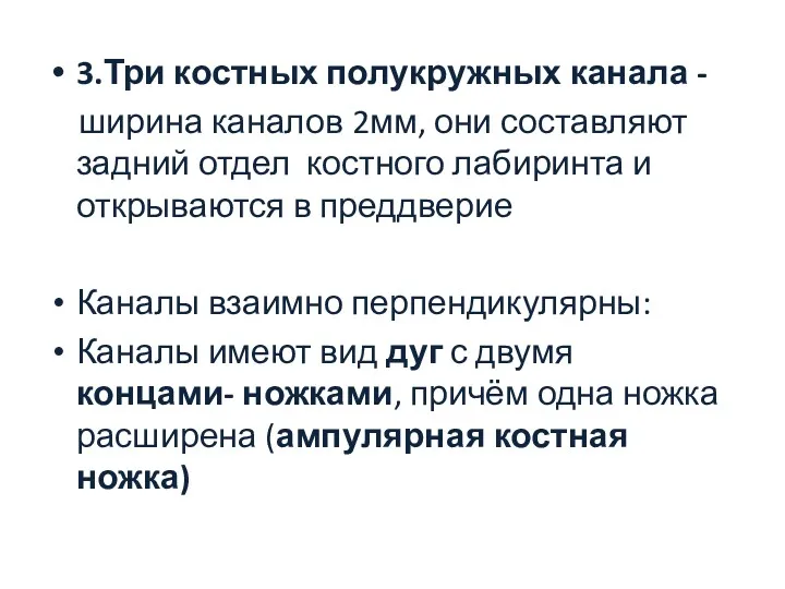 3.Три костных полукружных канала - ширина каналов 2мм, они составляют