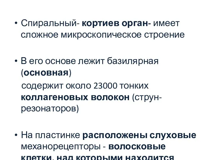 Спиральный- кортиев орган- имеет сложное микроскопическое строение В его основе