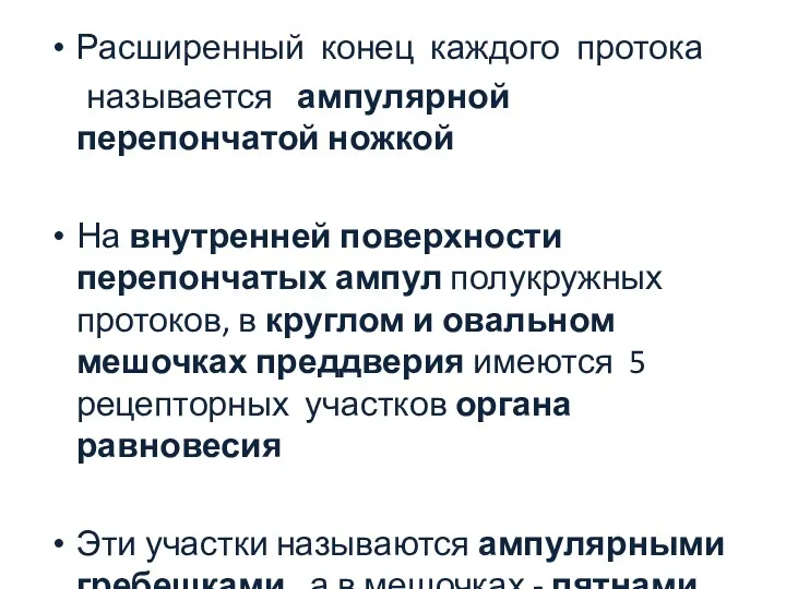 Расширенный конец каждого протока называется ампулярной перепончатой ножкой На внутренней