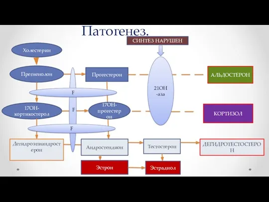 Патогенез. Холестерин Прегненолон Прогестерон 17ОН-кортикостерол Дегидроэпиандростерон Андростендион Тестостерон ДЕГИДРОТЕСТОСТЕРОН Эстрон