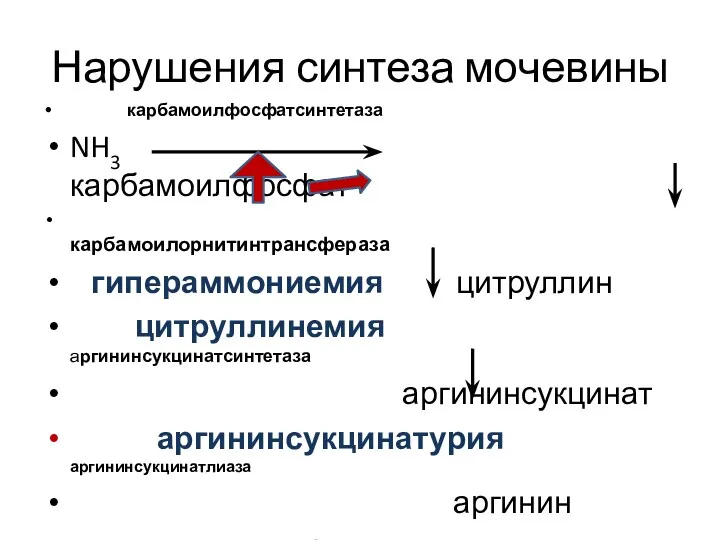 Нарушения синтеза мочевины карбамоилфосфатсинтетаза NH3 карбамоилфосфат карбамоилорнитинтрансфераза гипераммониемия цитруллин цитруллинемия