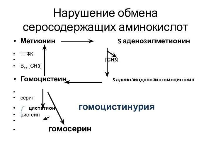 Нарушение обмена серосодержащих аминокислот Метионин S аденозилметионин ТГФК [СН3] В12