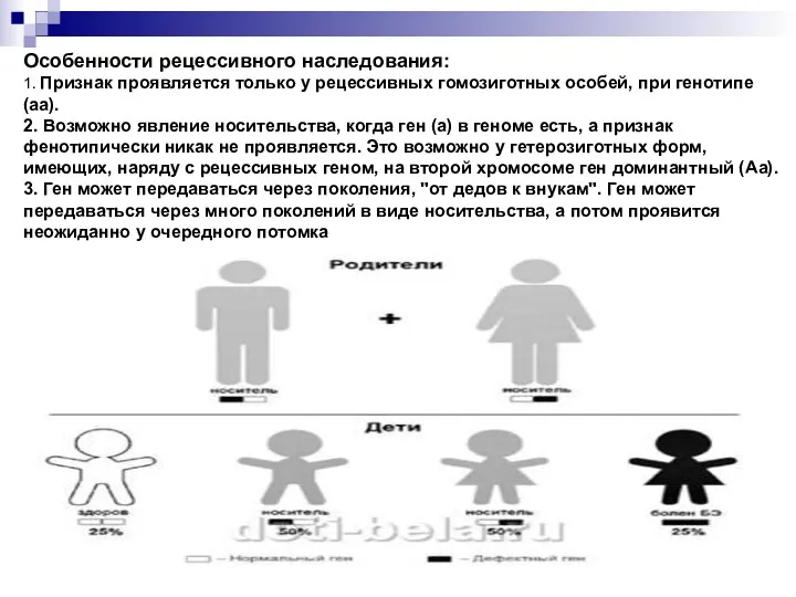 Особенности рецессивного наследования: 1. Признак проявляется только у рецессивных гомозиготных