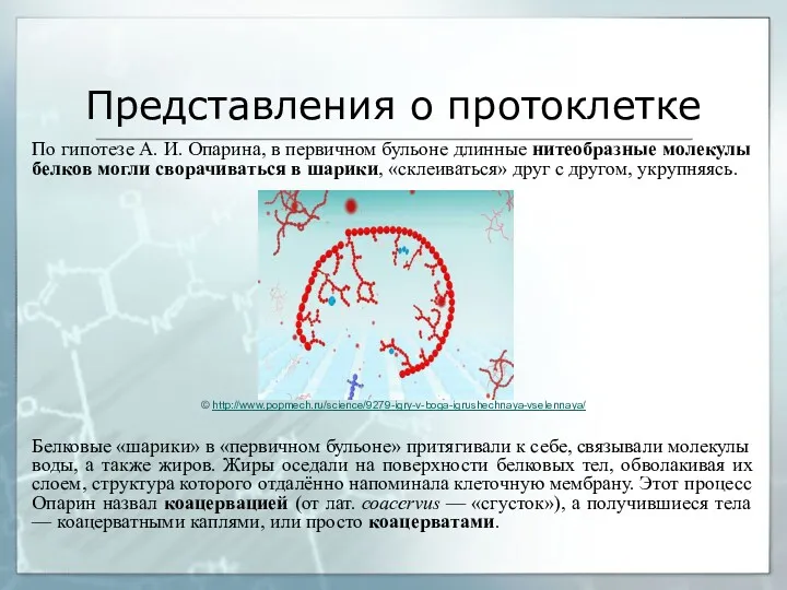 Представления о протоклетке По гипотезе А. И. Опарина, в первичном