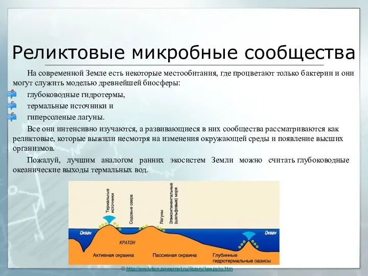 Реликтовые микробные сообщества На современной Земле есть некоторые местообитания, где