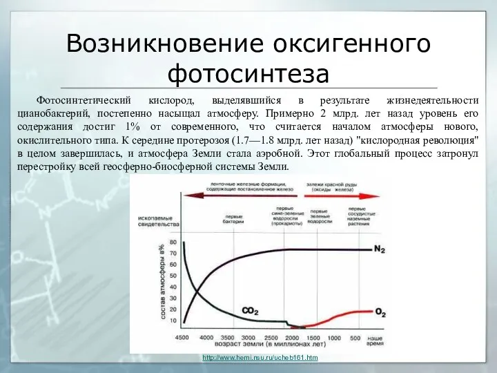 Возникновение оксигенного фотосинтеза Фотосинтетический кислород, выделявшийся в результате жизнедеятельности цианобактерий,