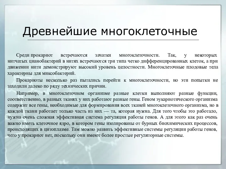 Древнейшие многоклеточные Среди прокариот встречаются зачатки многоклеточности. Так, у некоторых