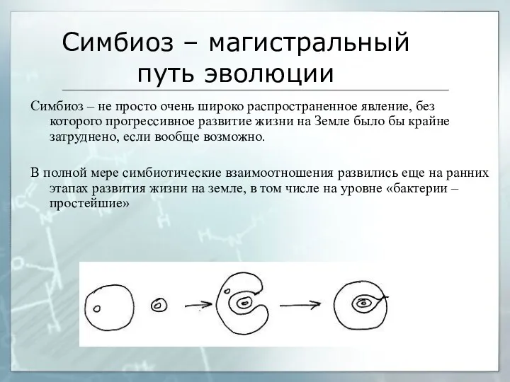 Симбиоз – магистральный путь эволюции Симбиоз – не просто очень