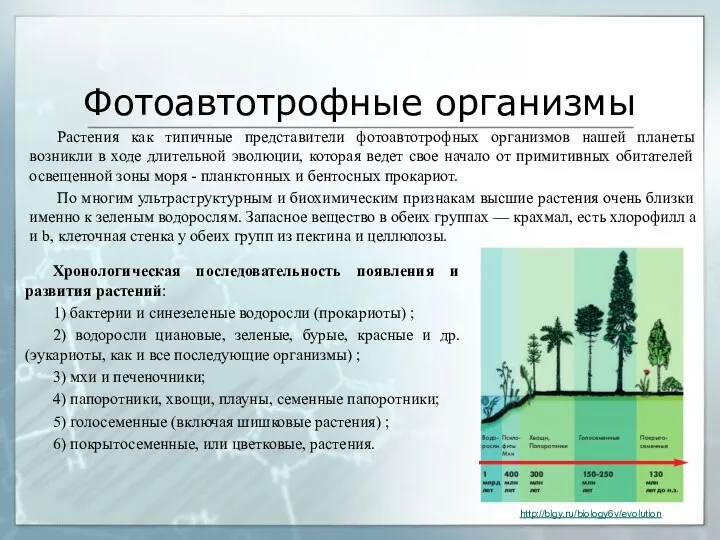 Фотоавтотрофные организмы Растения как типичные представители фотоавтотрофных организмов нашей планеты