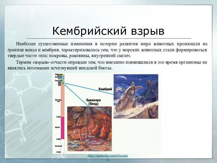 Кембрийский взрыв Наиболее существенные изменения в истории развития мира животных