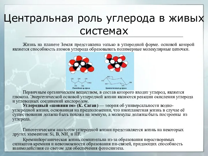 Центральная роль углерода в живых системах Жизнь на планете Земля