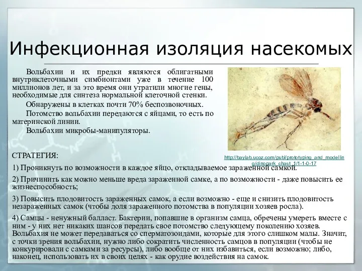 Инфекционная изоляция насекомых Вольбахии и их предки являются облигатными внутриклеточными