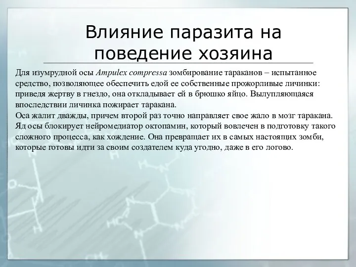 Для изумрудной осы Аmpulex compressa зомбирование тараканов – испытанное средство,