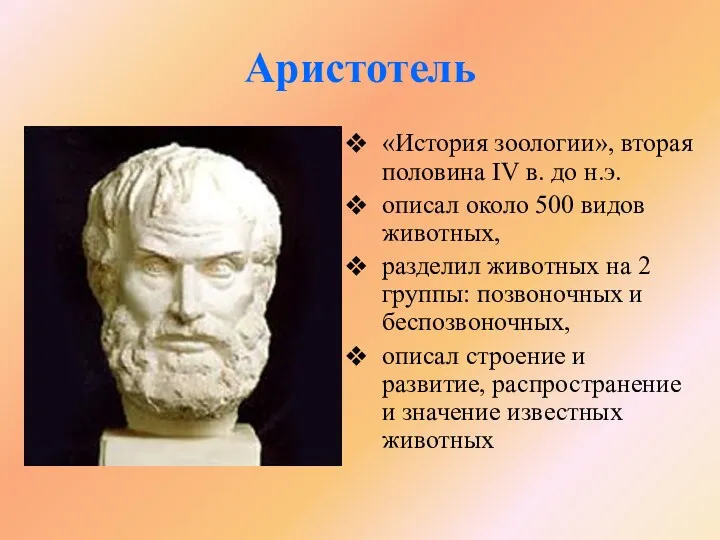 Аристотель «История зоологии», вторая половина IV в. до н.э. описал