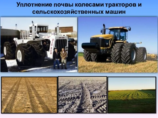 Уплотнение почвы колесами тракторов и сельскохозяйственных машин