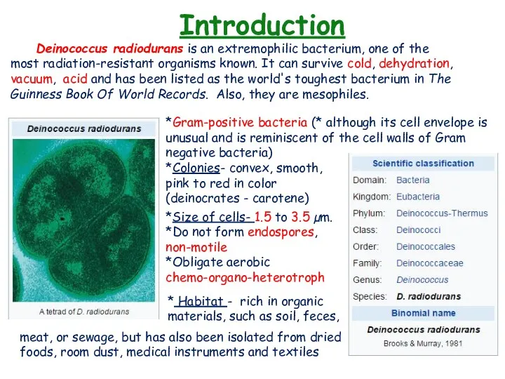 Introduction Deinococcus radiodurans is an extremophilic bacterium, one of the